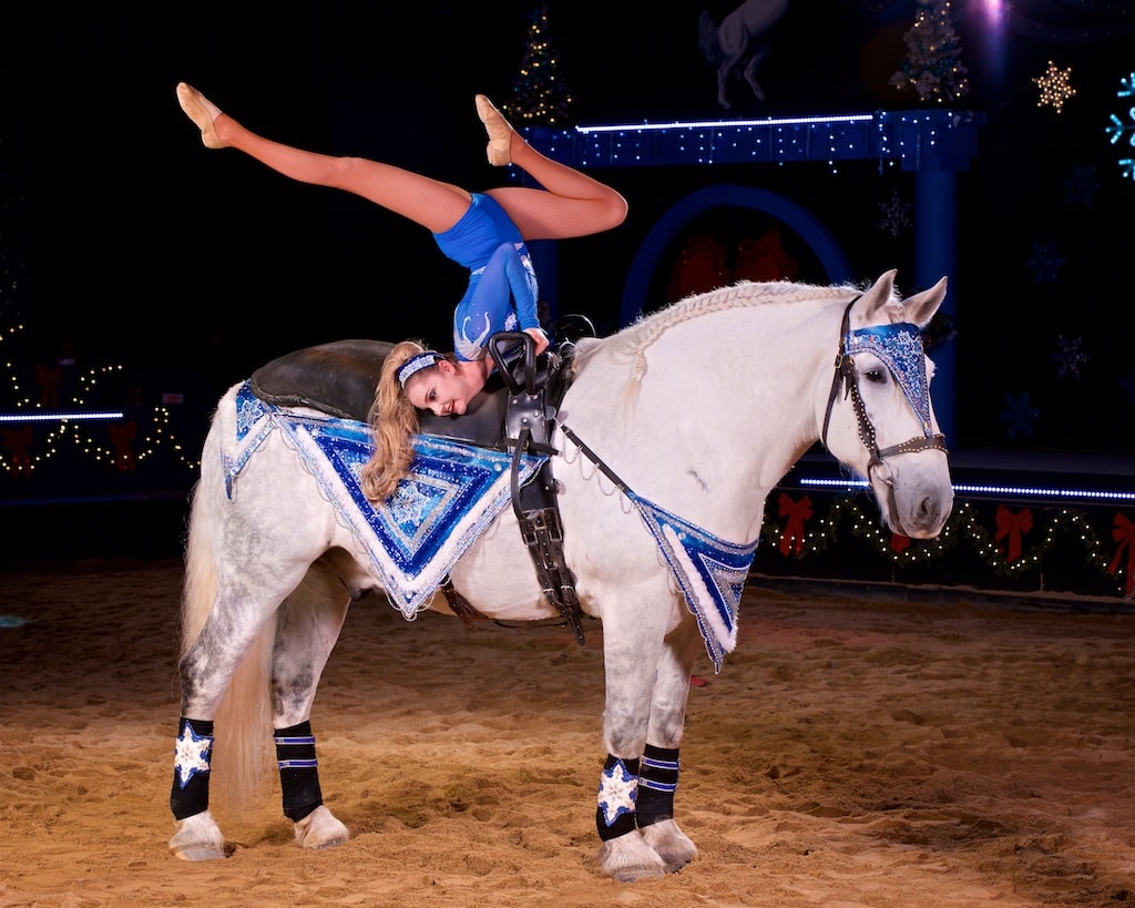 Dancing Horse Theater