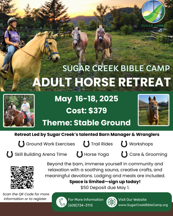 Adult Horse Retreat Adult Horse Retreat